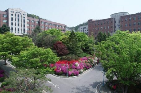 Yongin Arts & Science University – Ngôi trường hàng đầu Hàn Quốc về Nghệ thuật và Sáng tạo