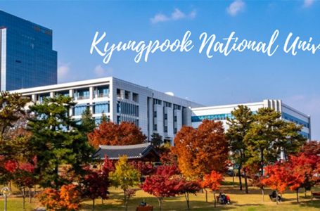 Du học Hàn Quốc tại Đại học Quốc gia Kyungpook (Kyungpook National University – KNU)
